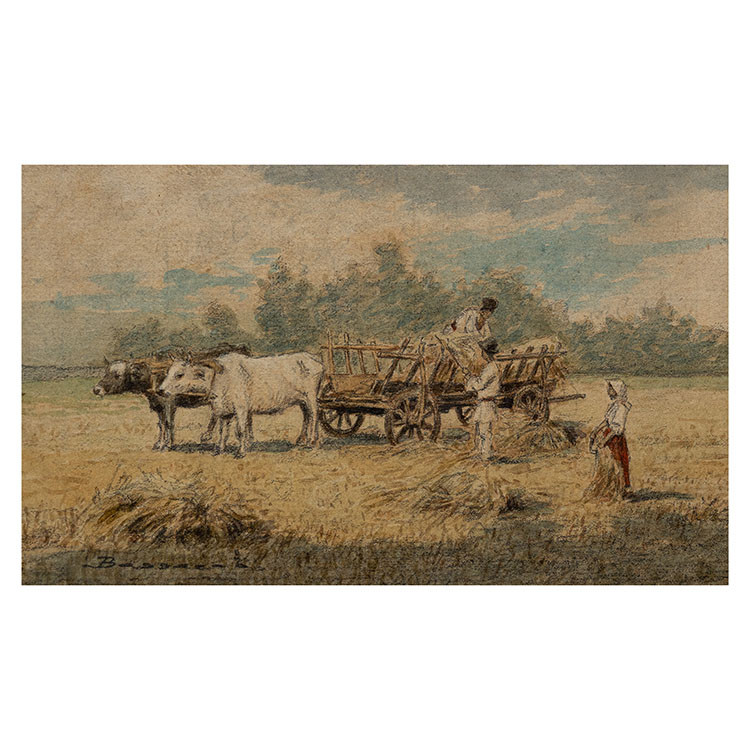 Ox Cart (Car cu boi)