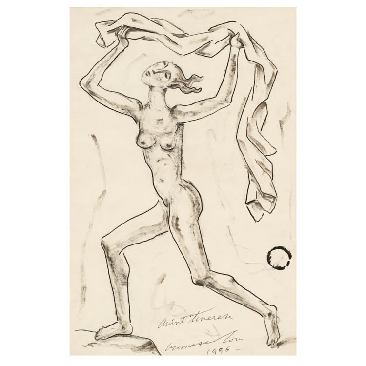 Youthful Enthusiasm (Avânt tineresc)*